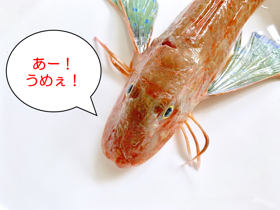 魚の舌ってそんなところに 唇 胸ビレ ヒゲで味を感じている さかなのnews